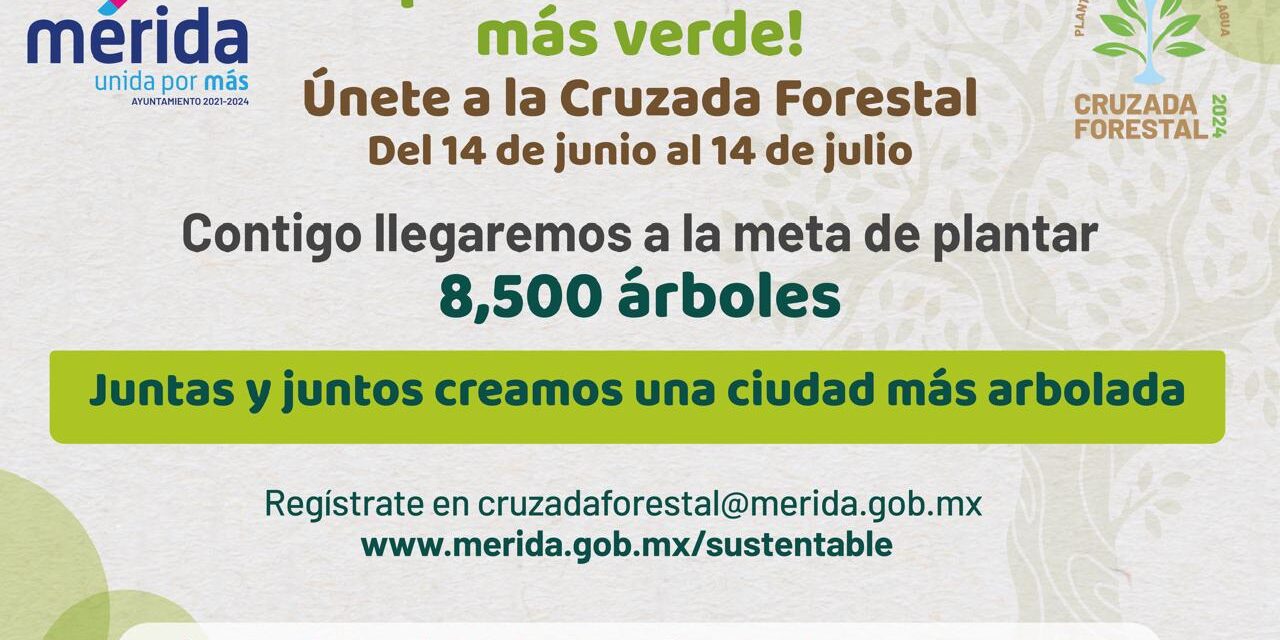 Ayuntamiento de Mérida Junio 2024