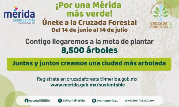 Ayuntamiento de Mérida Junio 2024