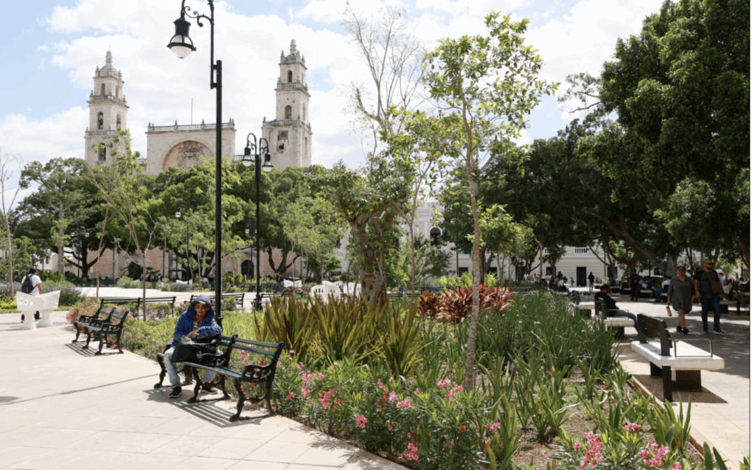 Respuesta a Vera Lima