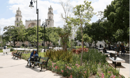 Gonzalo Navarrete Muñoz: La crónica no es el chisme ni la nostalgia