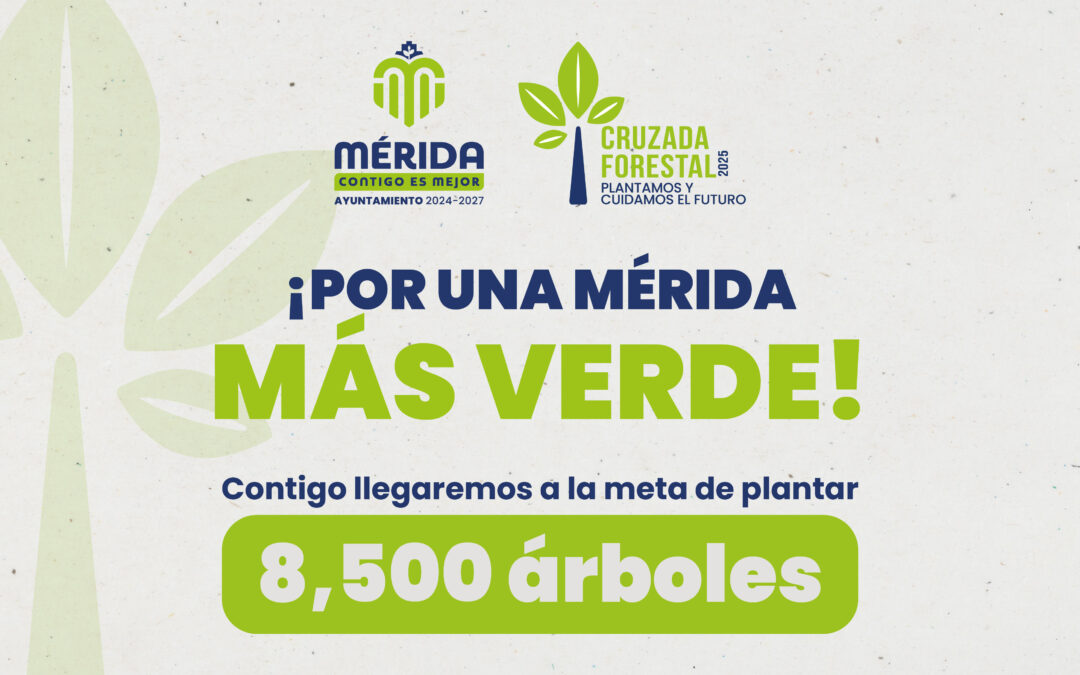 Ayuntamiento de Mérida Junio 2025