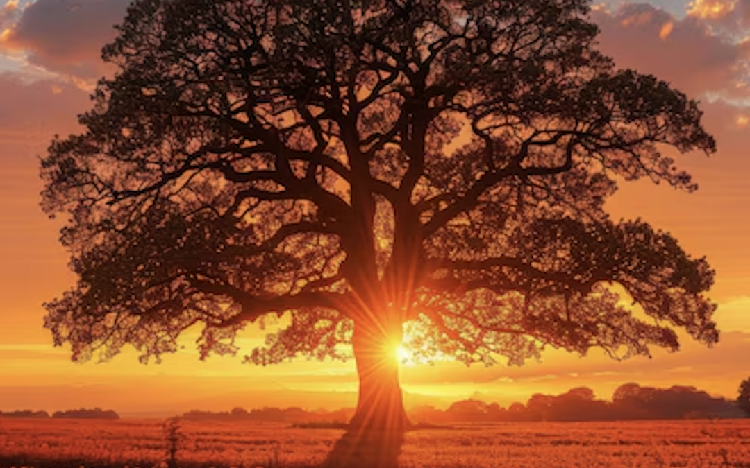 El árbol y la teoría