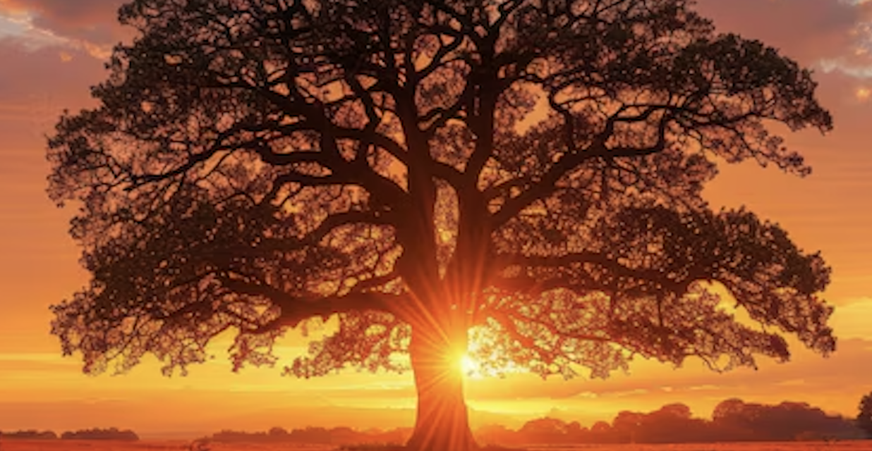 El árbol y la teoría
