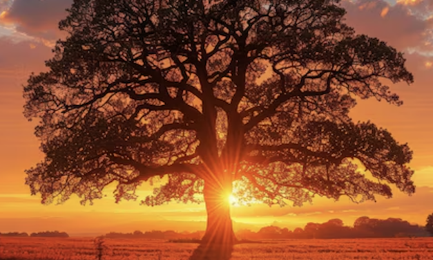 El árbol y la teoría