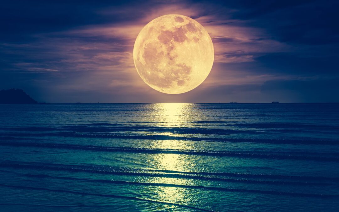 Cuchillo bajo la luna