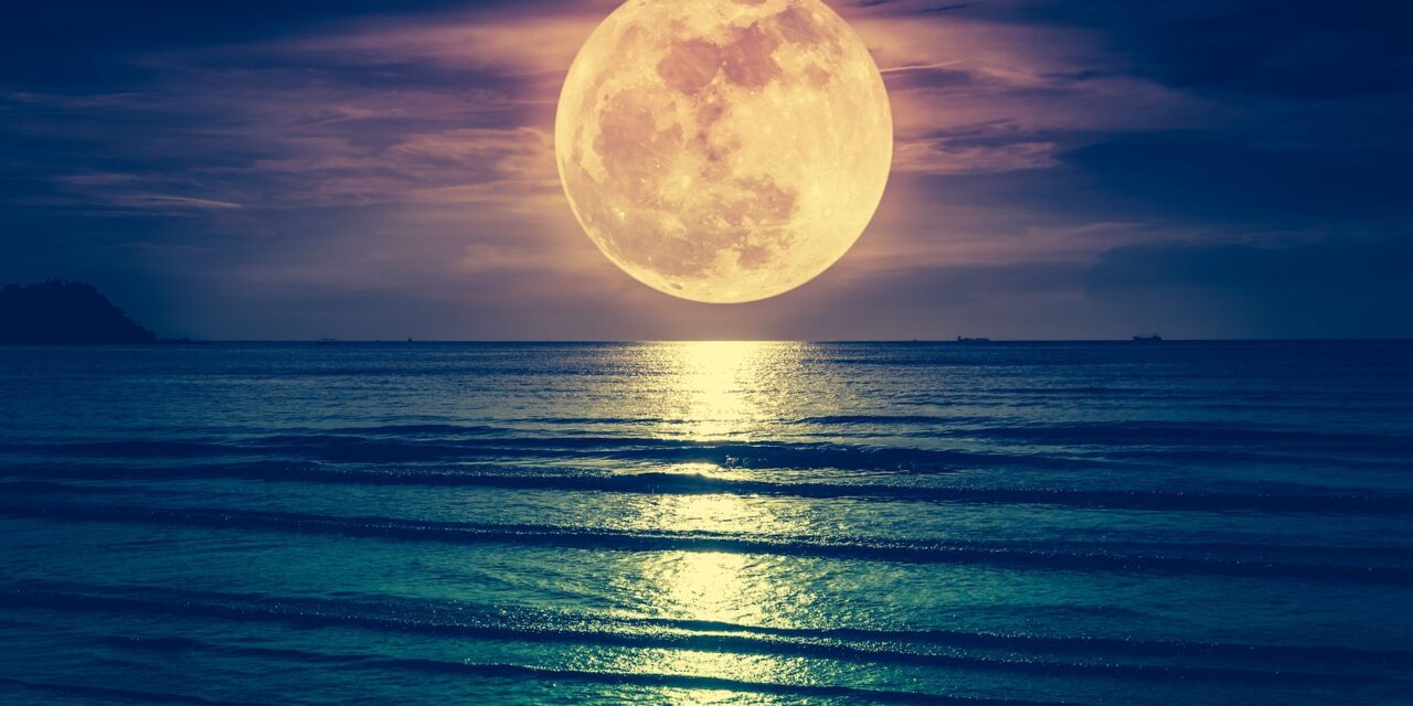 Cuchillo bajo la luna
