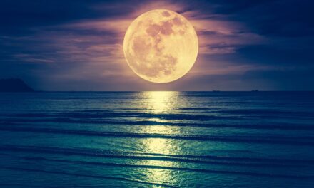 Cuchillo bajo la luna
