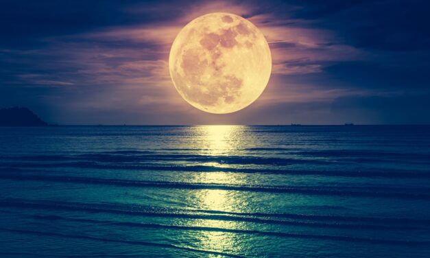 Cuchillo bajo la luna