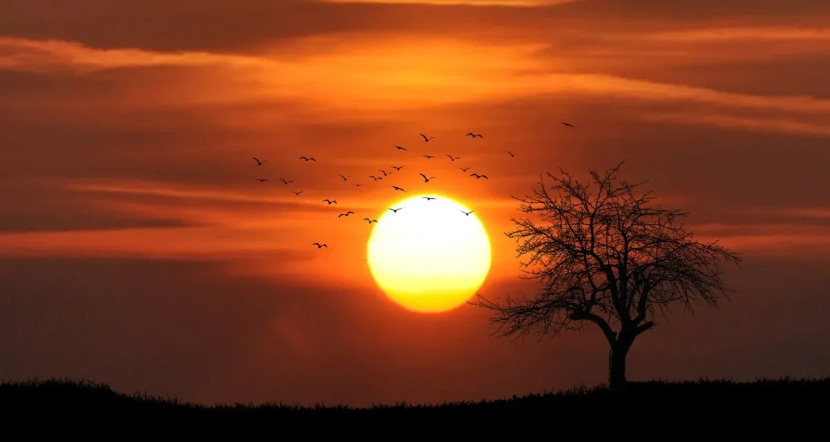 El vuelo hacia el Sol