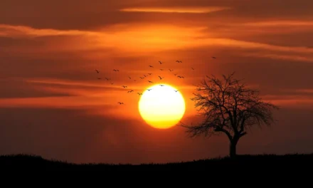 El vuelo hacia el Sol