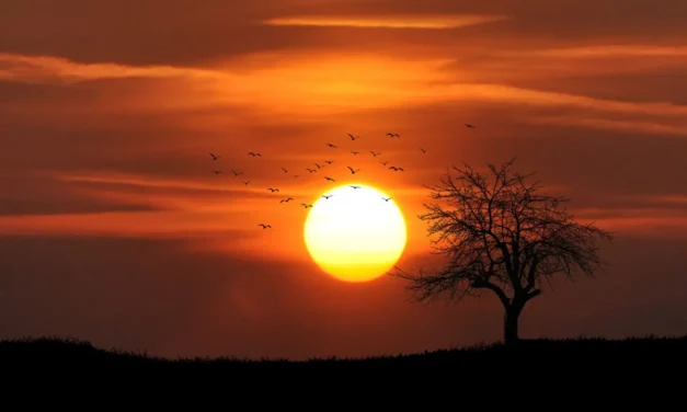 El vuelo hacia el Sol