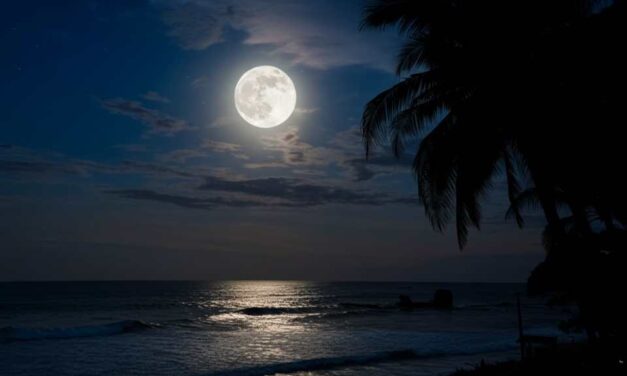 La memoria de la Luna