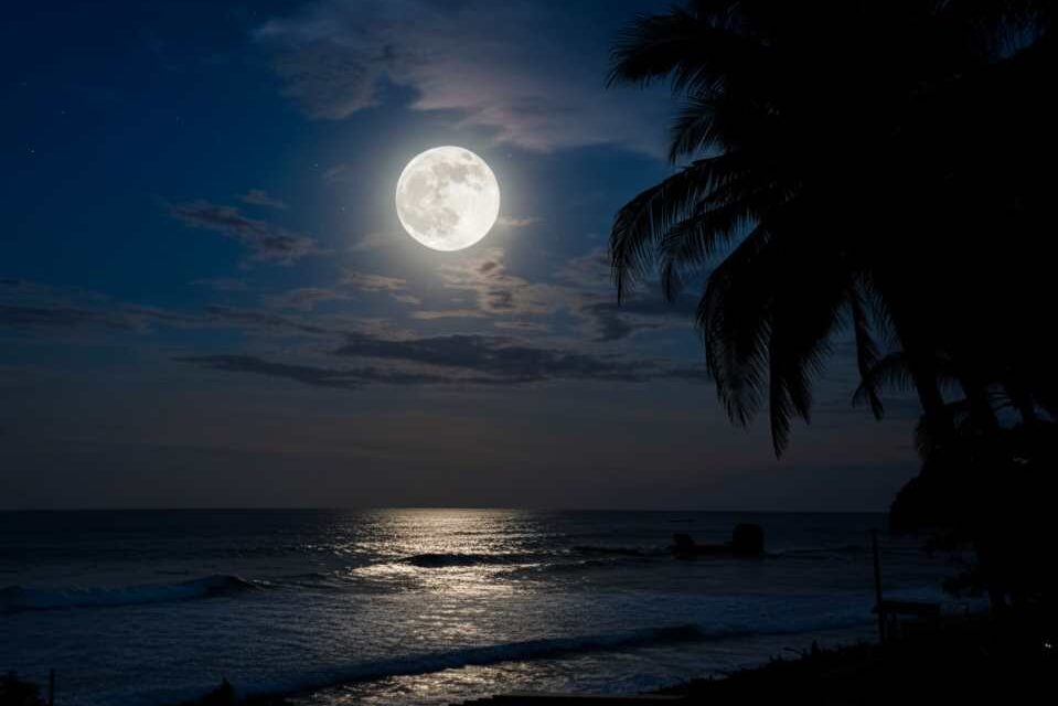 La memoria de la Luna