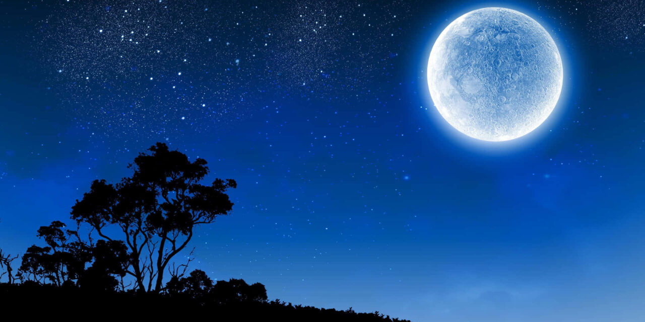 La noche secreta