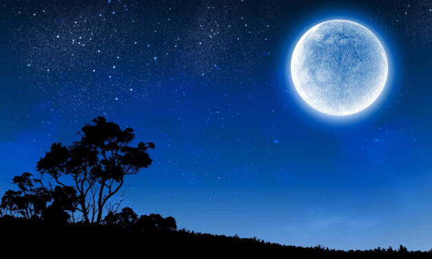 La noche secreta